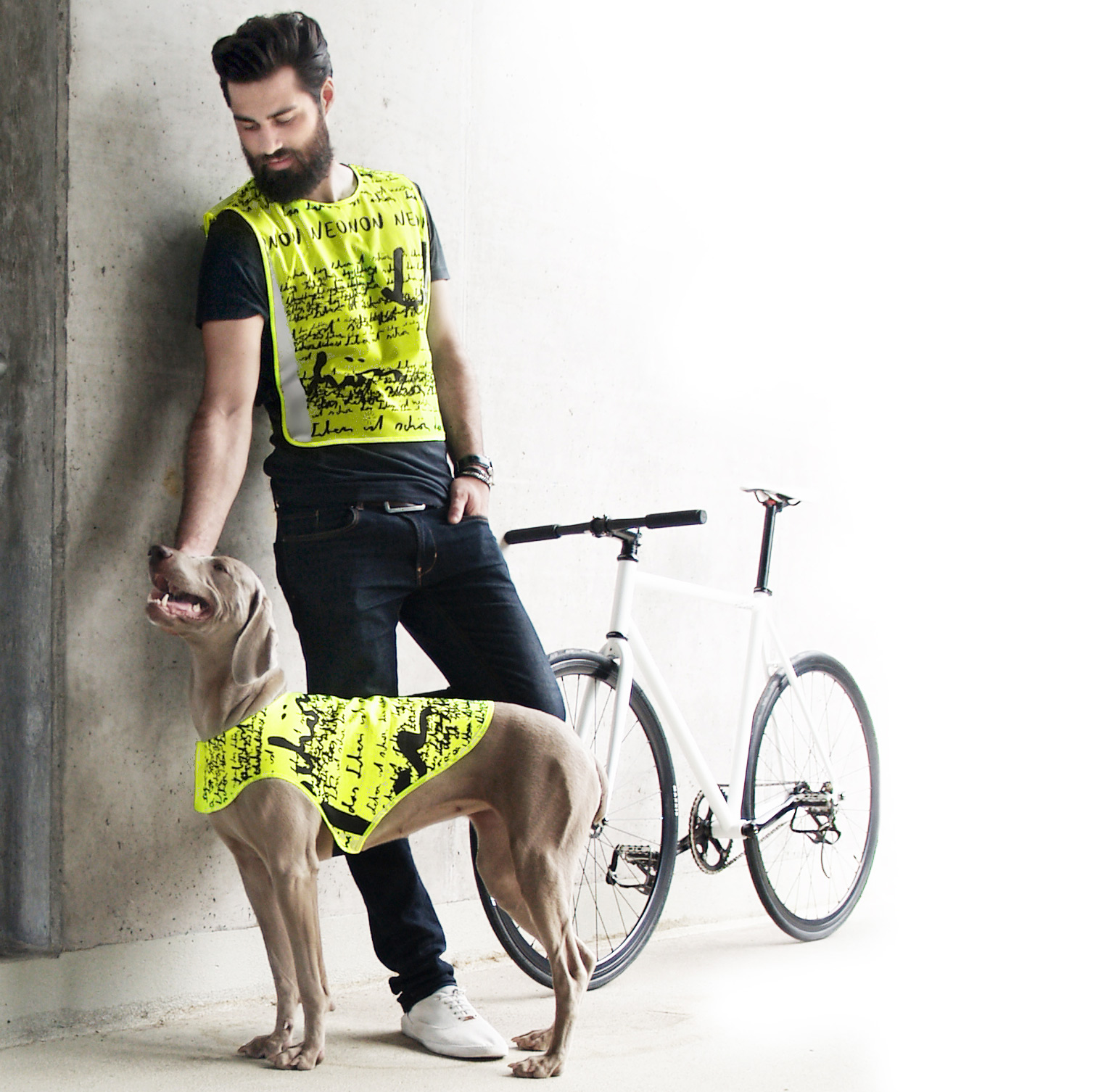 Dogvis Dogvis