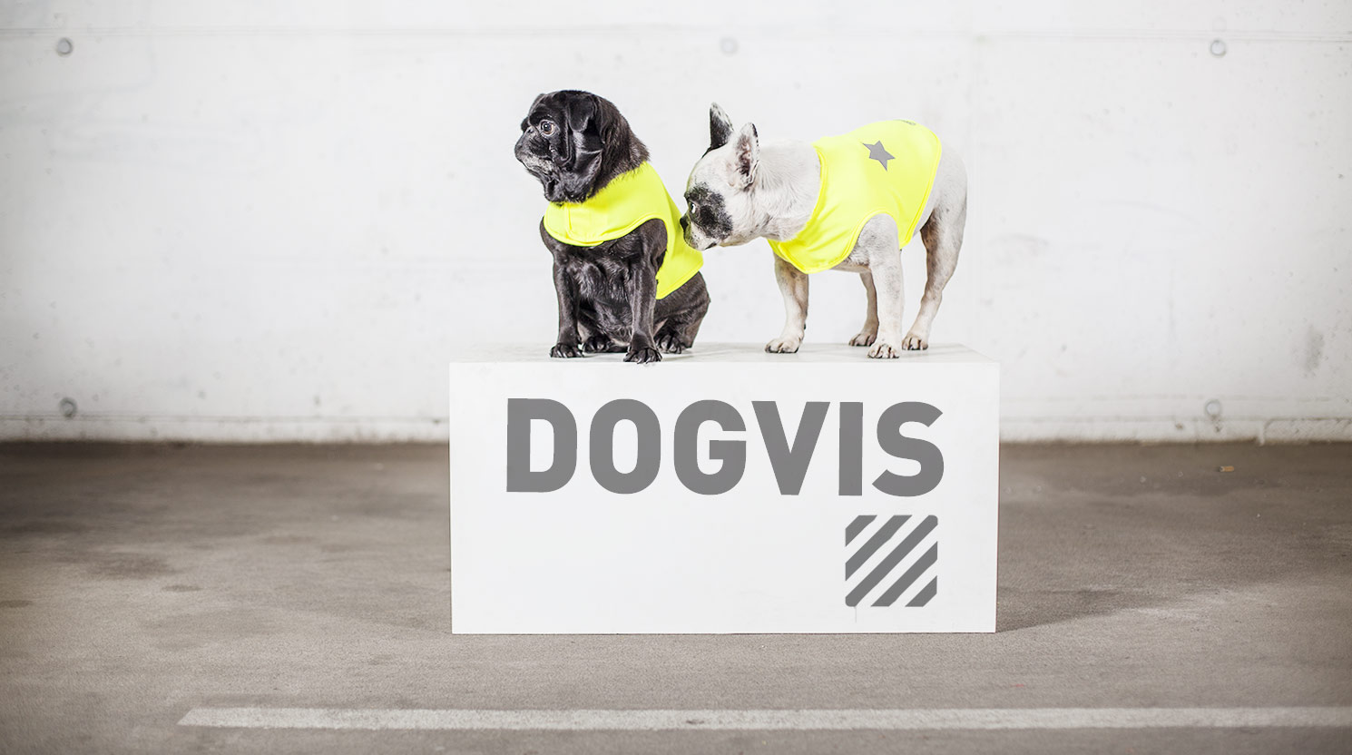 Dogvis